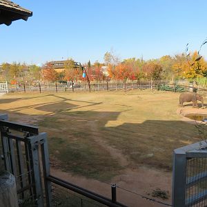 Asian Elephant Exhibit