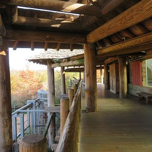 Asian Elephant Complex