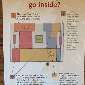 Diagram of Elephant House