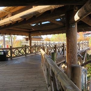 Asian Elephant Complex