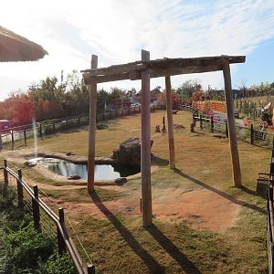 Asian Elephant Exhibit