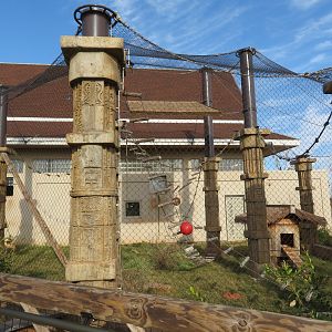 Raccoon Dog/Langur Exhibit