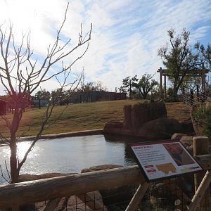 Indian Rhino Exhibit