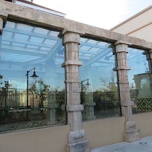 Komodo Dragon Exhibit