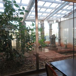 Komodo Dragon Exhibit