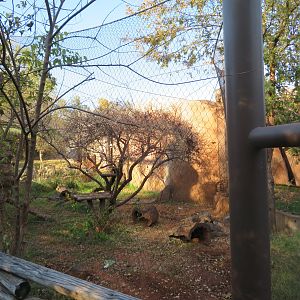 Swift Fox Exhibit