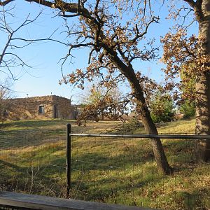 Deer/Trumpeter Swan Exhibit