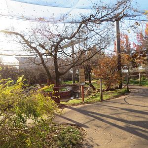 Walkthrough Aviary (17 spp)