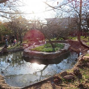 Walkthrough Aviary (17 spp)