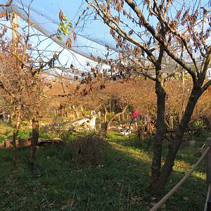 Walkthrough Aviary (17 spp)