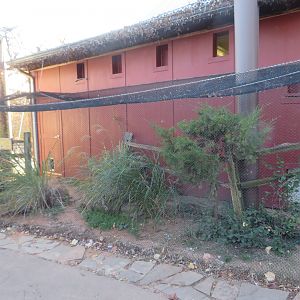 Roadrunner Side Aviary