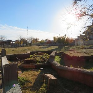 Bison/Prairie Dog Exhibits