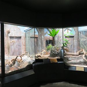 Native Snake Terrariums