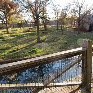 Grizzly Bear Exhibit