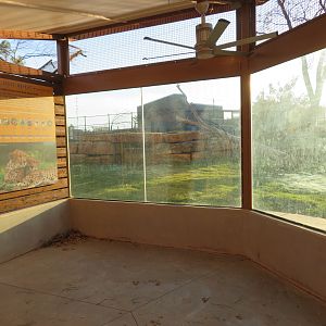 Predator Pass - Cheetah Exhibit