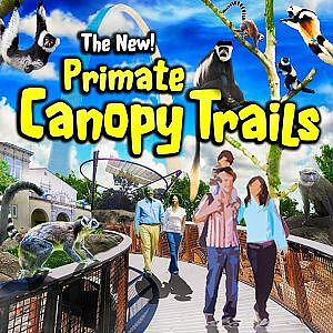 The New! Primate Canopy Trails | Zoo Tours