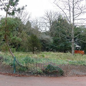 Former Tortoise enclosure, December 2021