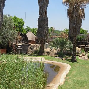 Old greater flamingo exhibit (2020)