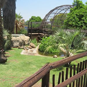 Old greater flamingo exhibit (2020)