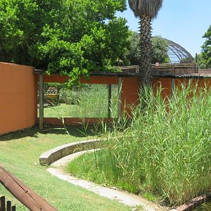 Old greater flamingo exhibit (2020)