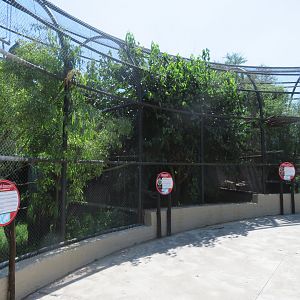 Aviary Complex