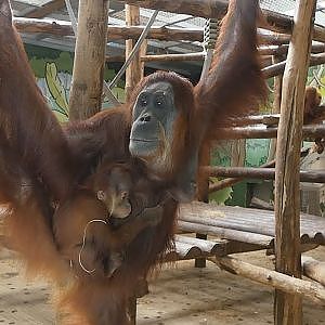 Zoo La Boissiere du Dore