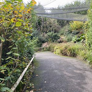 Brookside Aviary 201121