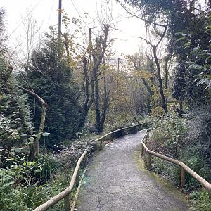 Brookside Aviary 201121