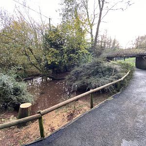 Brookside Aviary 201121