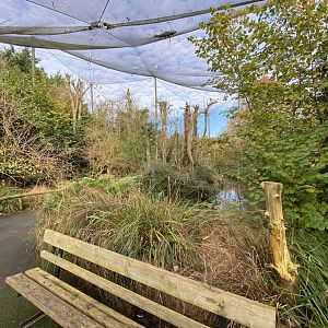 Brookside Aviary 201121