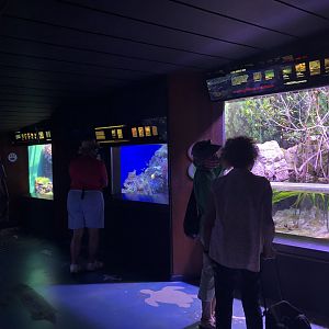 "South Pacific Marine Communities" Gallery - Right wall