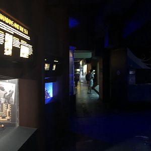 View down guest hallway