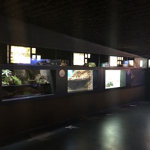 "Marine Protected Areas & Conservation" Gallery - Left wall