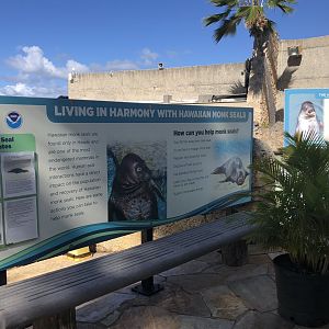 "Hawaiian Monk Seals" Exhibit Signage