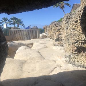 "Hawaiian Monk Seals" Exhibit - Empty