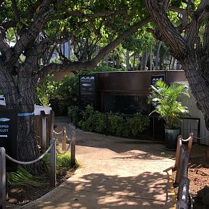 "Ocean Aquaculture" Tank