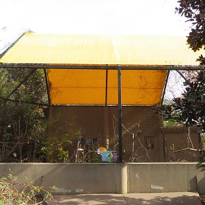 Rainbow Lorikeet Aviary