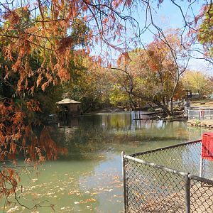 Waterfowl Pond (5 spp)