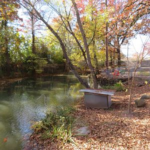 Waterfowl Pond (5 spp)