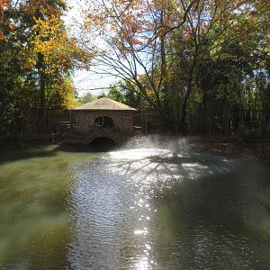 Waterfowl Pond (5 spp)
