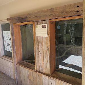 Ringtail Exhibit