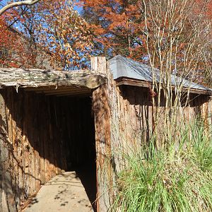 Pygmy Slow Loris Hut