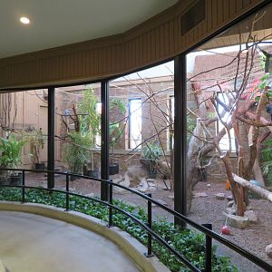 1936 Animal Building - Mixed Species Exhibit (4 spp)