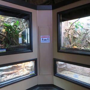 1936 Animal Building - Herp Tanks