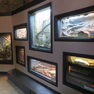 1936 Animal Building - Herp Tanks