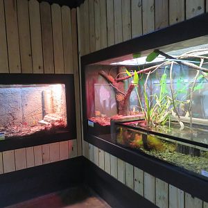 1936 Animal Building - Herp Tanks
