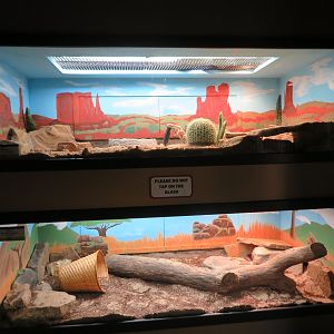 1936 Animal Building - Herp Tanks