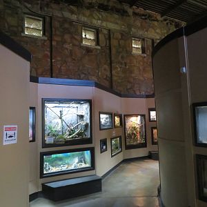 1936 Animal Building - Herp Tanks