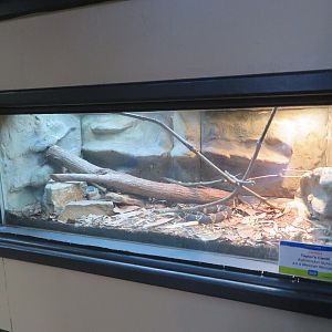 Taylor's Cantil Tank