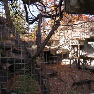 Fossa Exhibit